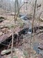 2341 rhea branch rd, ethridge,  TN 38456