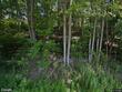  truxton,  NY 13158
