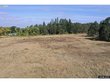 12545 s wildcat rd, molalla,  OR 97803