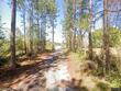 00 nw 185th street, starke,  FL 32091