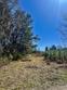 1366 peirce rd, cottageville,  SC 29435