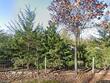 22165 171st st, basehor,  KS 66007