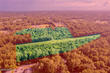 thomas street, starke,  FL 32091