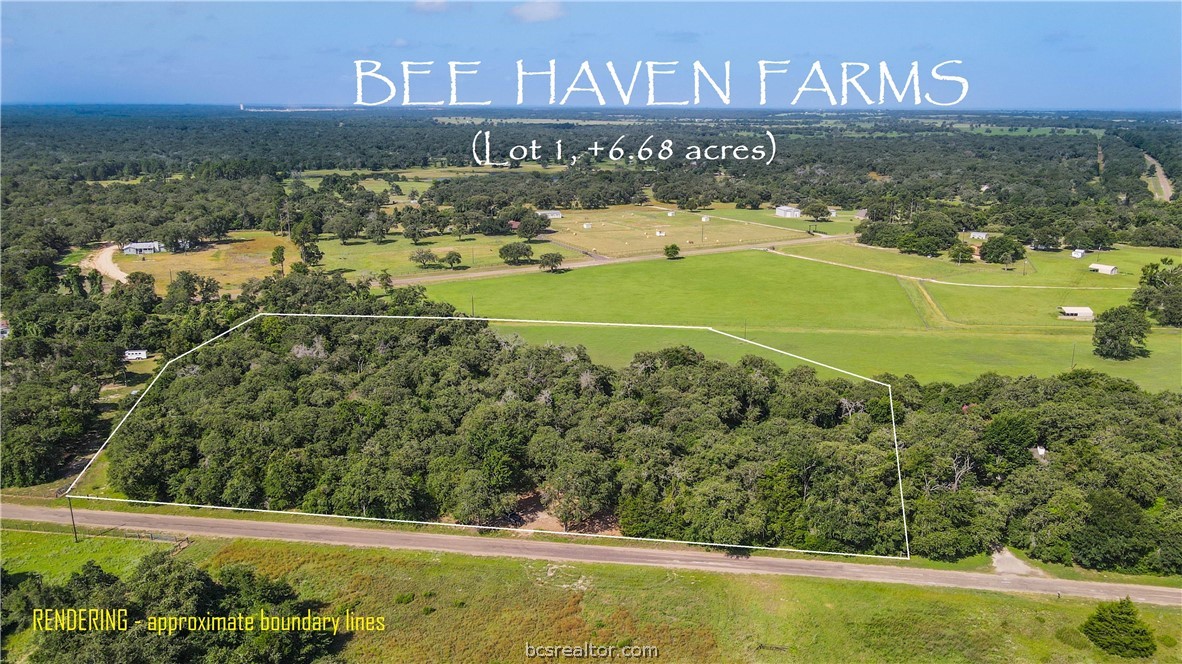 tbd county road 315 (6.6 acres), caldwell,  TX 77836