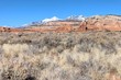 17 back of the arch rd, moab,  UT 84532
