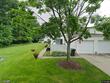 330 deepwood dr, wadsworth,  OH 44281