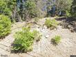 lake arrowhead,  CA 92352