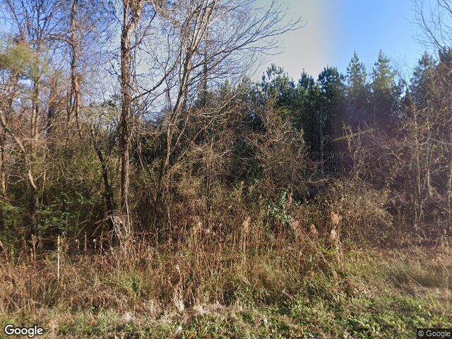 1309 farming creek road, irmo,  SC 29063