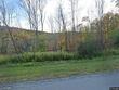  homer,  NY 13077