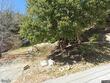  lake arrowhead,  CA 92352