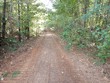 0 hwy 14 - tract 3 green street, marion,  AL 36756