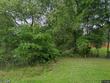  green cove springs,  FL 32043