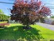 98 grimesville rd, williamsport,  PA 17701