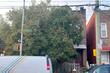  brooklyn,  NY 11203