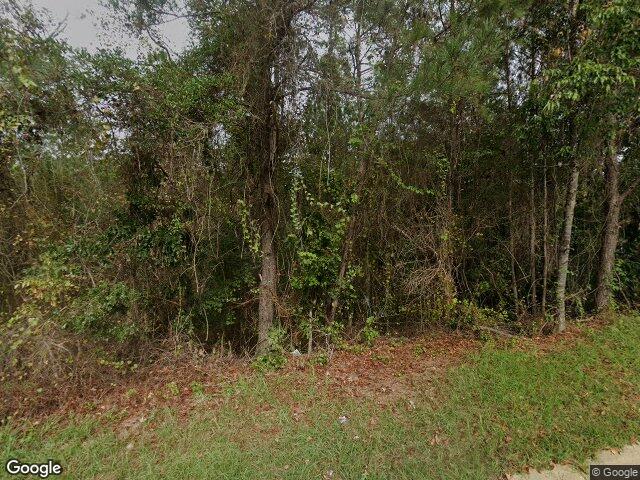 100 bally bunion lane lot 221, columbia,  SC 29229