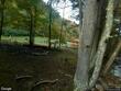 lot 38 sonterra ridge, lansing,  NC 28617
