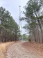 124 virginia dare ln, henderson,  NC 27537