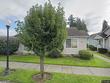 1114 sinclair way # 63
                                ,Unit # 63, burlington,  WA 98233