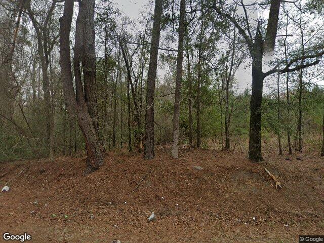 1584 keegan drive, walterboro,  SC 29488