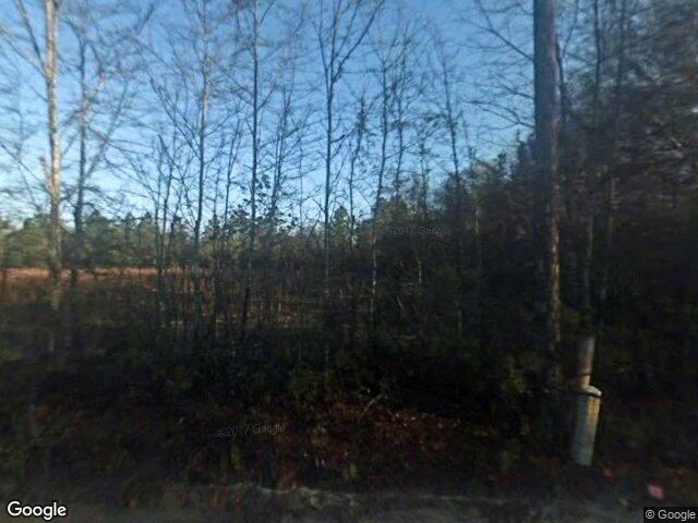 1272 mount hope rd, guyton,  GA 31312