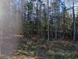 510 lily pond rd, pike,  NH 03780
