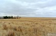 tbd co rd 12, sterling,  CO 80751