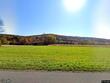 5156 carr rd lot a
                                ,Unit Lot A, willet,  NY 13863