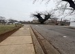 5356 cuthbert ave, baltimore,  MD 21215