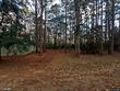 158 crumley rd, walterboro,  SC 29488