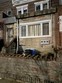  brooklyn,  NY 11207