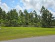 lot 12 wide water cir, wewahitchka,  FL 32465