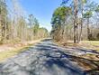 0 red root road, ruffin,  SC 29475