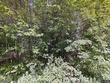 324 gibbs rd, wiscasset,  ME 04578