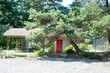 824 osprey lane, orcas island,  WA 98245