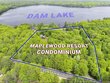 8250 maplewood ln # 16
                                ,Unit # 16, eagle river,  WI 54521