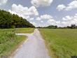 henkle road, loretto,  TN 38469