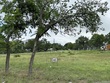 908 11th street, blanco,  TX 78606