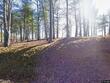 1295 will vannoy rd, west jefferson,  NC 28694