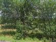  marathon,  NY 13803