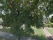  new hyde park,  NY 11040