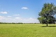 11752 county road 318, caldwell,  TX 77836