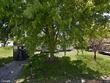 501 nw ivy pl, lees summit,  MO 64086