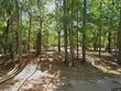 8990 palmetto rd, edisto island,  SC 29438