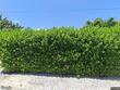 2481 ne myrtle st, jensen beach,  FL 34957