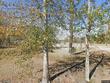 6125 settlement way, vidor,  TX 77662