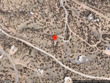 17 longhorn ln, santa fe,  NM 87506