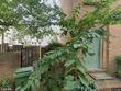 619 s sharp st, baltimore,  MD 21230