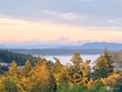 1036 harbor view pl, friday harbor,  WA 98250