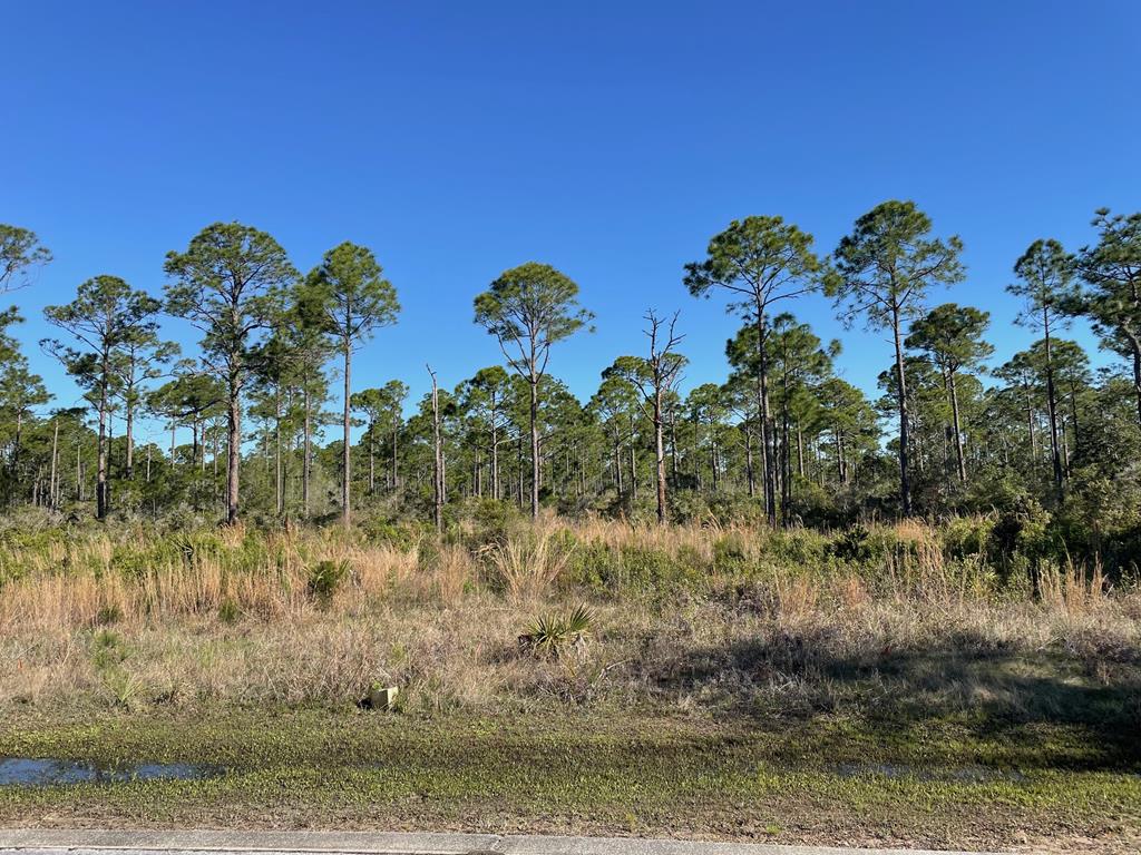 lot 18 shallow reed dr, port st. joe,  FL 32456