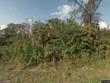  naples,  FL 34120